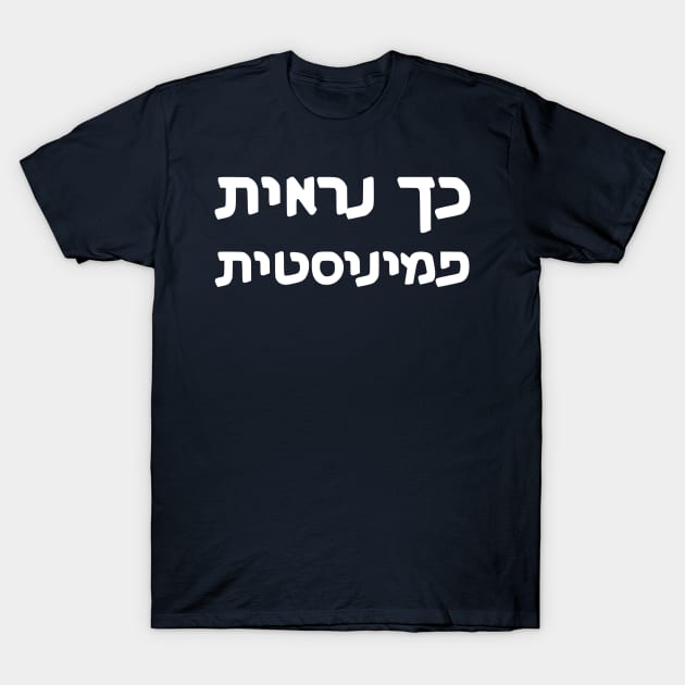 This Is What A Feminist Looks Like (Hebrew, Feminine) T-Shirt by dikleyt